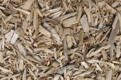 biomass boilers Caerau